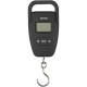 Ваги Brain Fishing Scales 50kg*10g